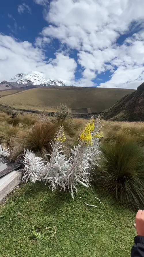 침보라소 화산을 배경으로 오레하 데 코네호, 블로거와 투어 일행들을 뒤에서 촬영하는 가이드 파울